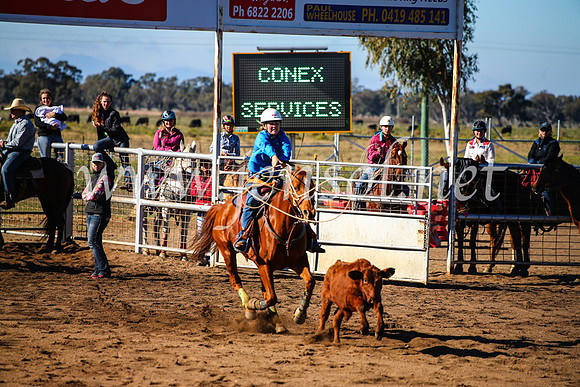 CoonambleRodeoCampdraftMon_6594