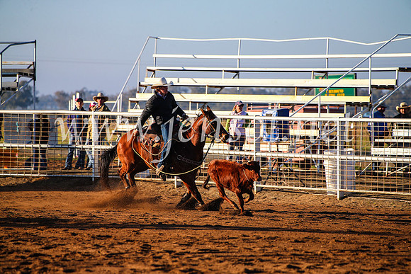 CoonambleRodeoCampdraftMon_6046