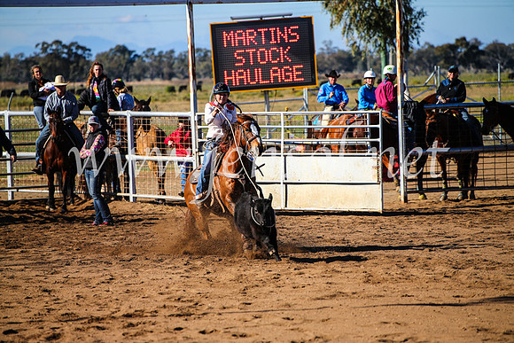 CoonambleRodeoCampdraftMon_6637