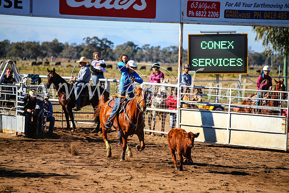 CoonambleRodeoCampdraftMon_6590
