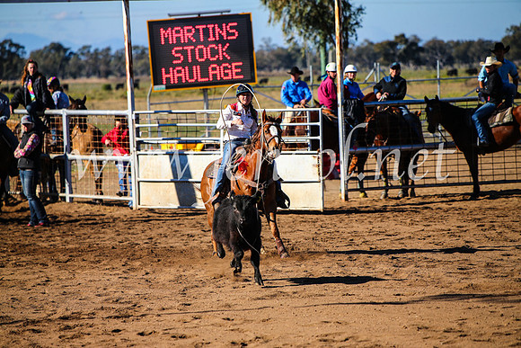 CoonambleRodeoCampdraftMon_6646
