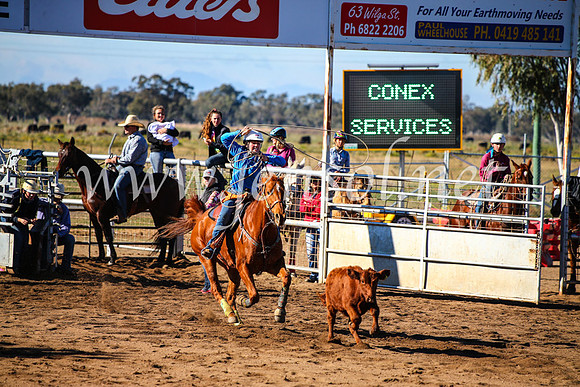 CoonambleRodeoCampdraftMon_6598