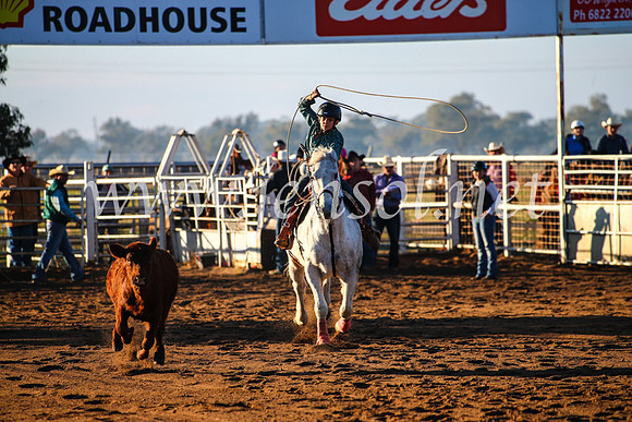 CoonambleRodeoCampdraftMon_6007
