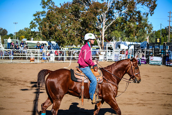 CoonambleRodeoCampdraftMon_6609