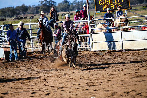 CoonambleRodeoCampdraftMon_6577
