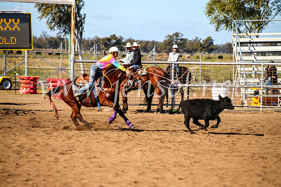 CoonambleRodeoCampdraftMon_7352