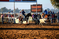 CoonambleRodeoCampdraftMon_6051