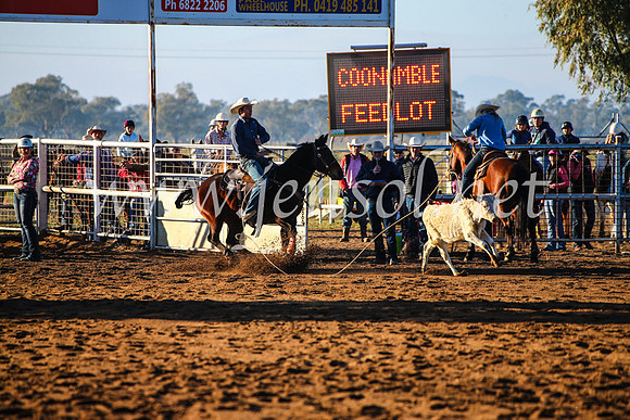 CoonambleRodeoCampdraftMon_6051