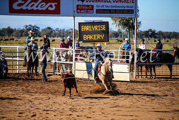 CoonambleRodeoCampdraftMon_6588
