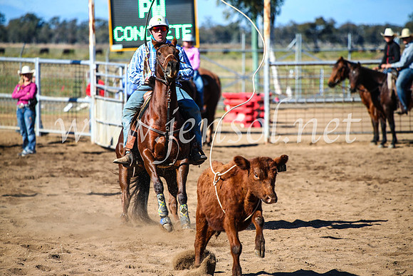 CoonambleRodeoCampdraftMon_7380