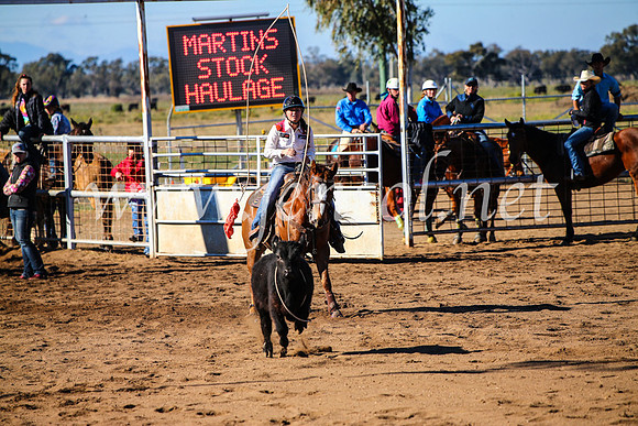 CoonambleRodeoCampdraftMon_6640