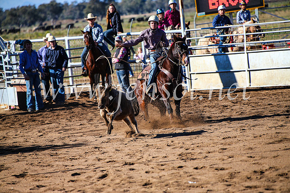 CoonambleRodeoCampdraftMon_6580