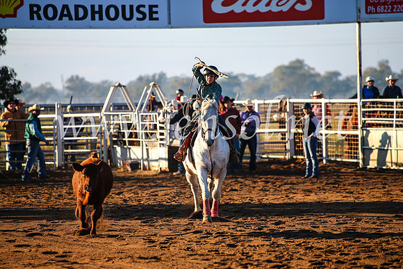 CoonambleRodeoCampdraftMon_6004