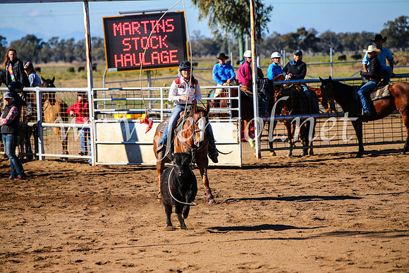 CoonambleRodeoCampdraftMon_6641