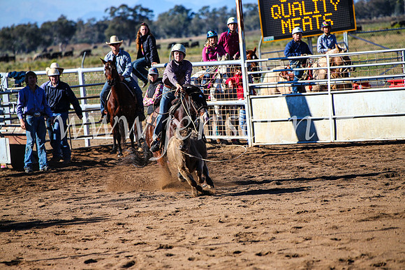 CoonambleRodeoCampdraftMon_6578