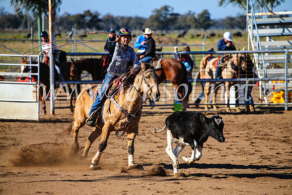 CoonambleRodeoCampdraftMon_6627