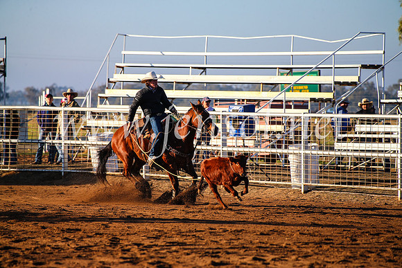 CoonambleRodeoCampdraftMon_6042