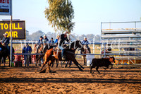 CoonambleRodeoCampdraftMon_6038