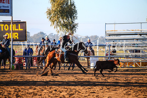CoonambleRodeoCampdraftMon_6038