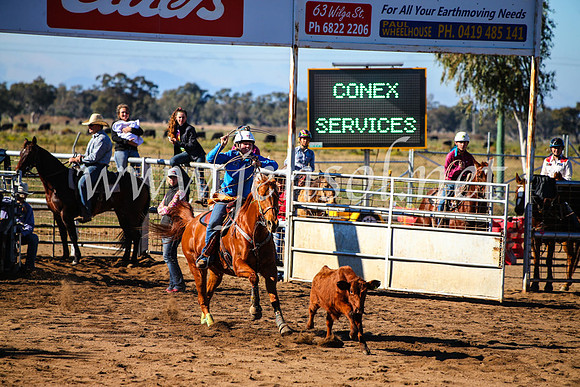 CoonambleRodeoCampdraftMon_6597