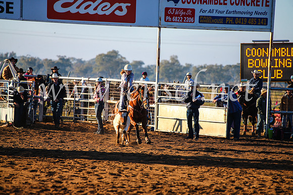 CoonambleRodeoCampdraftMon_6061