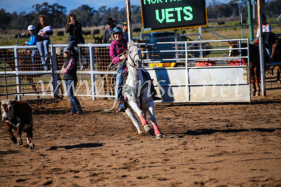 CoonambleRodeoCampdraftMon_6613
