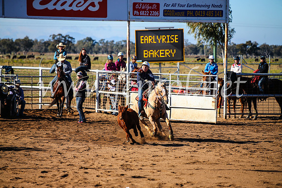 CoonambleRodeoCampdraftMon_6584