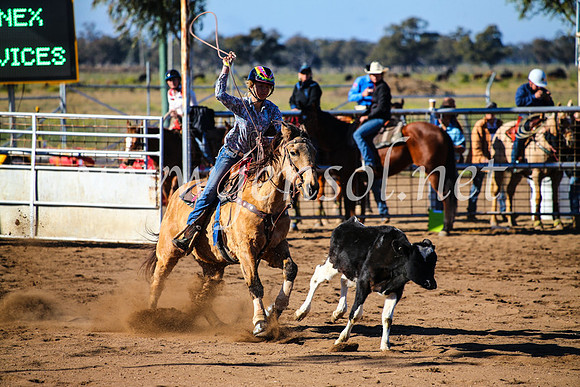CoonambleRodeoCampdraftMon_6626