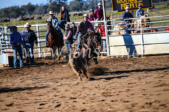 CoonambleRodeoCampdraftMon_6583