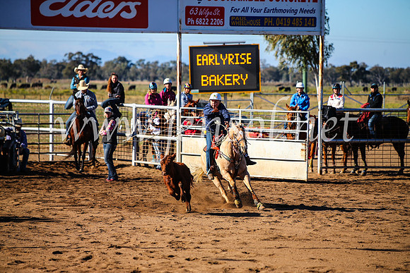 CoonambleRodeoCampdraftMon_6585