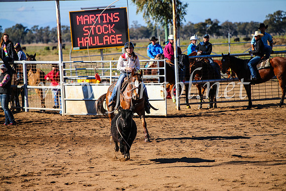 CoonambleRodeoCampdraftMon_6642