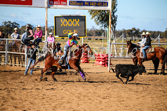 CoonambleRodeoCampdraftMon_7359