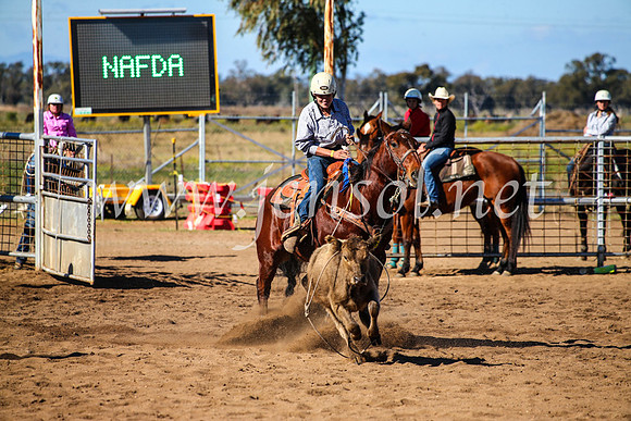 CoonambleRodeoCampdraftMon_7366