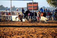 CoonambleRodeoCampdraftMon_6052