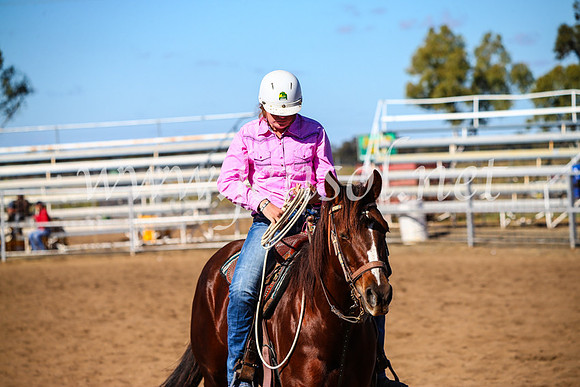CoonambleRodeoCampdraftMon_7386