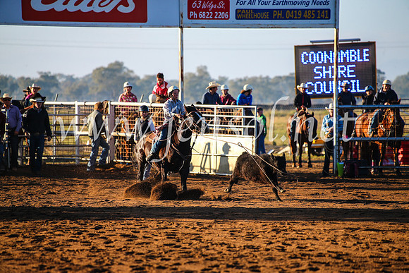 CoonambleRodeoCampdraftMon_6017