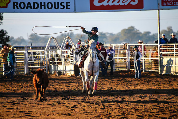 CoonambleRodeoCampdraftMon_6003