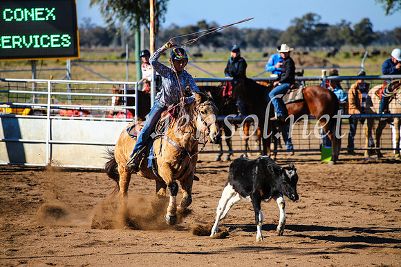 CoonambleRodeoCampdraftMon_6625