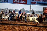 CoonambleRodeoCampdraftMon_6024