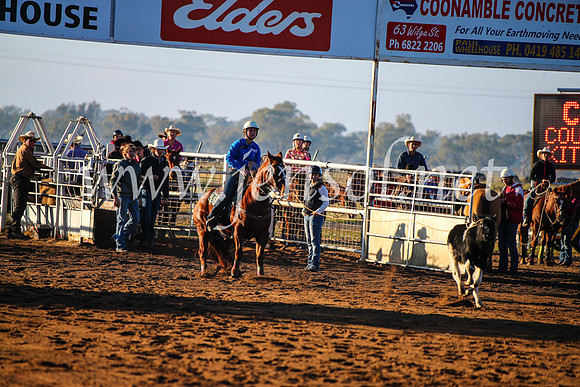 CoonambleRodeoCampdraftMon_6024