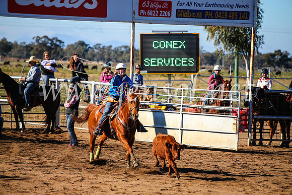 CoonambleRodeoCampdraftMon_6599