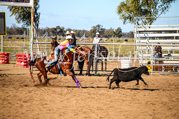 CoonambleRodeoCampdraftMon_7353