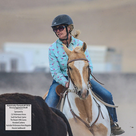 AdaminabyCampdraft2019_6674