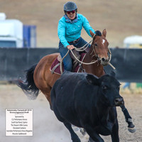 AdaminabyCampdraft2019_6644