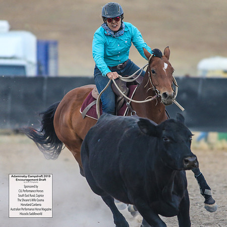 AdaminabyCampdraft2019_6644