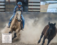 AdaminabyCampdraft2019_6639