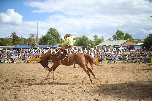 JindabyneRodeo2014_2258