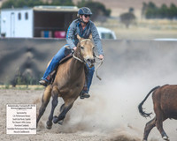 AdaminabyCampdraft2019_6574