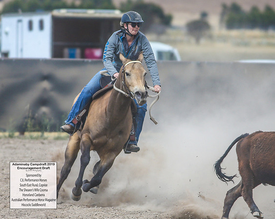 AdaminabyCampdraft2019_6574