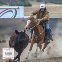 AdaminabyCampdraft2019_6682
